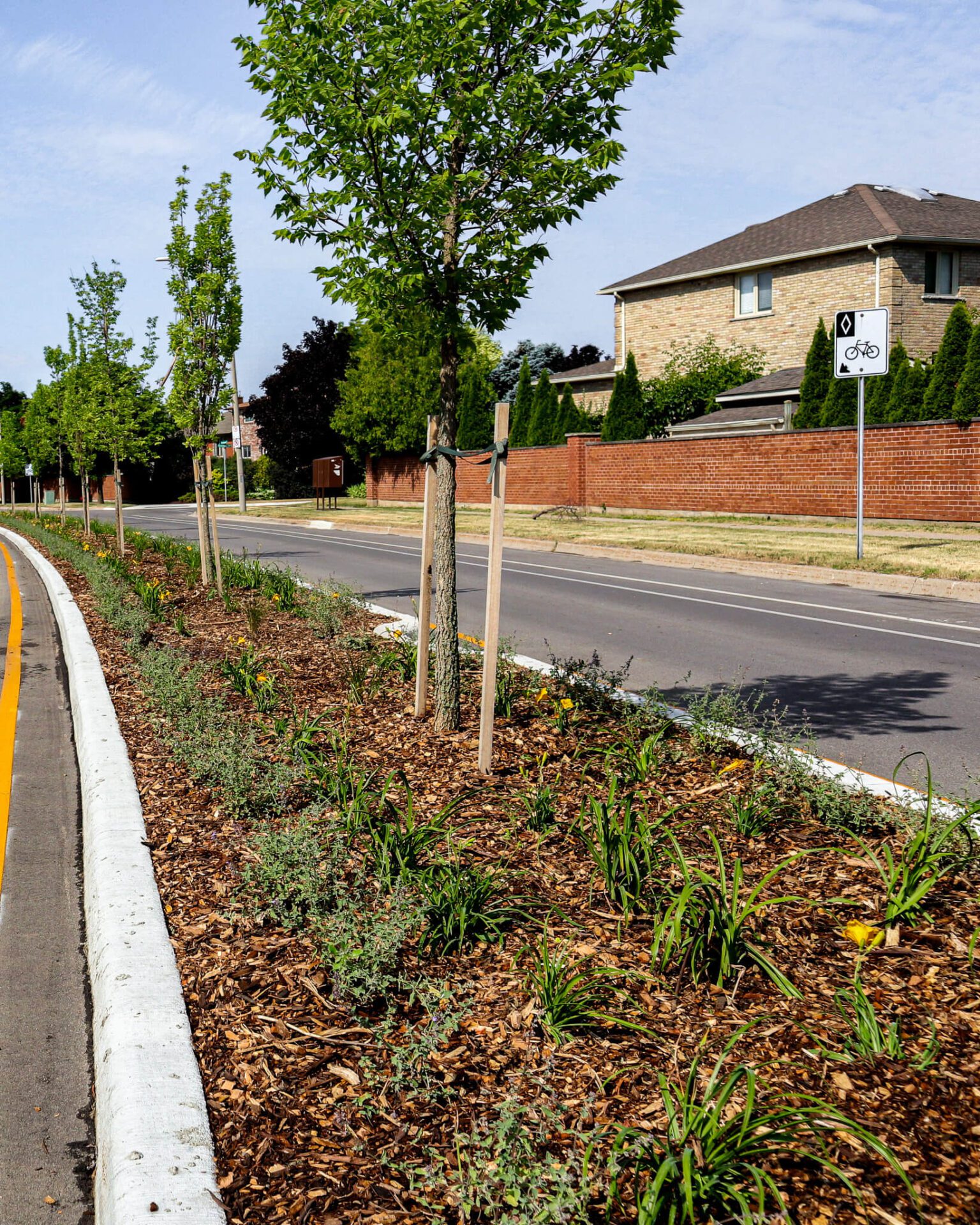 Cedar mulch bed for road median
