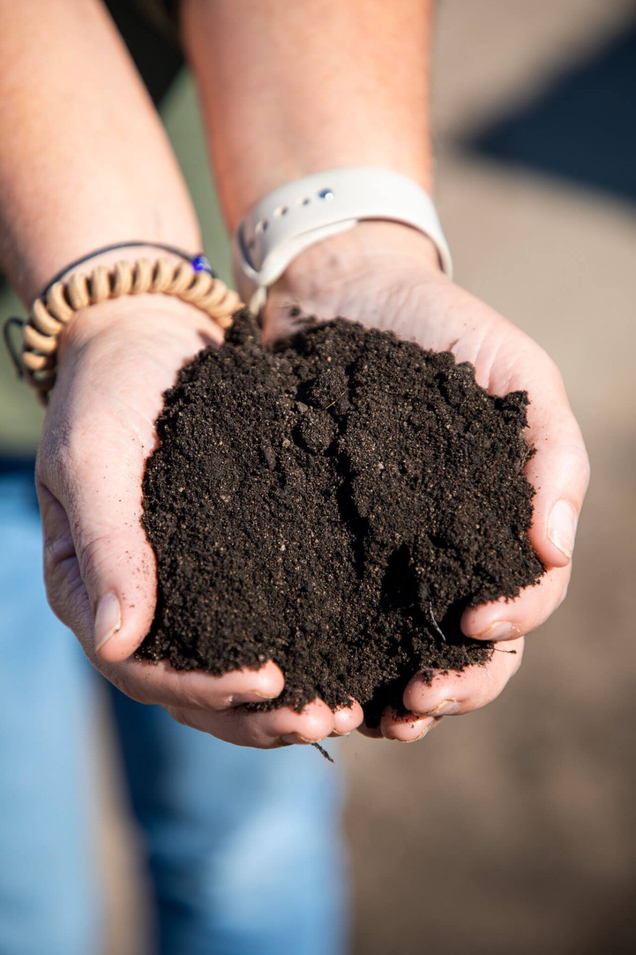 hand full of garden soil